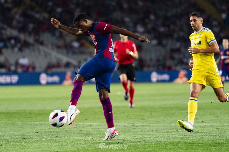 篮球场上的 篮球场上的